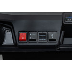 Elektrická Bugina - Buggy Champion Pick-up - zelené